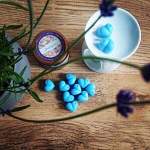 Bubblegum Wax Melts