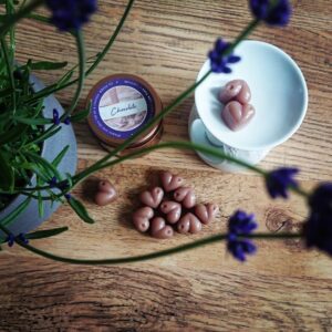 Chocolate Wax Melts