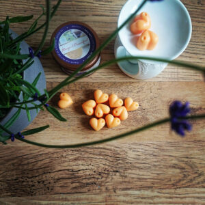 Mango et Passionfruit Wax Melts